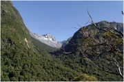05 - Milford Sound (25) - Routeburn Track